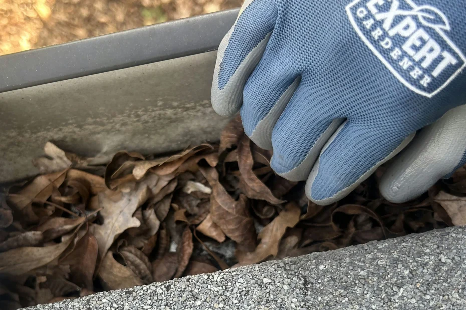Powell Gutter Cleaning