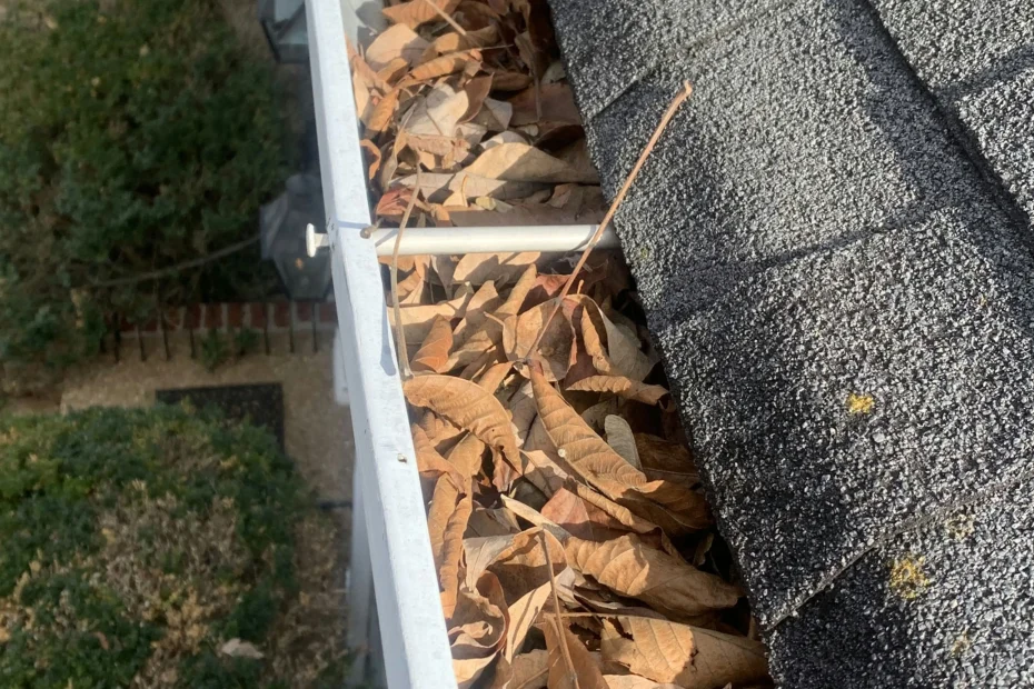 Gutter Cleaning Powell